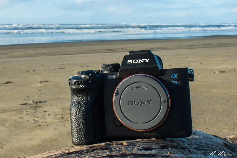 Sony A7S III Underwater Review