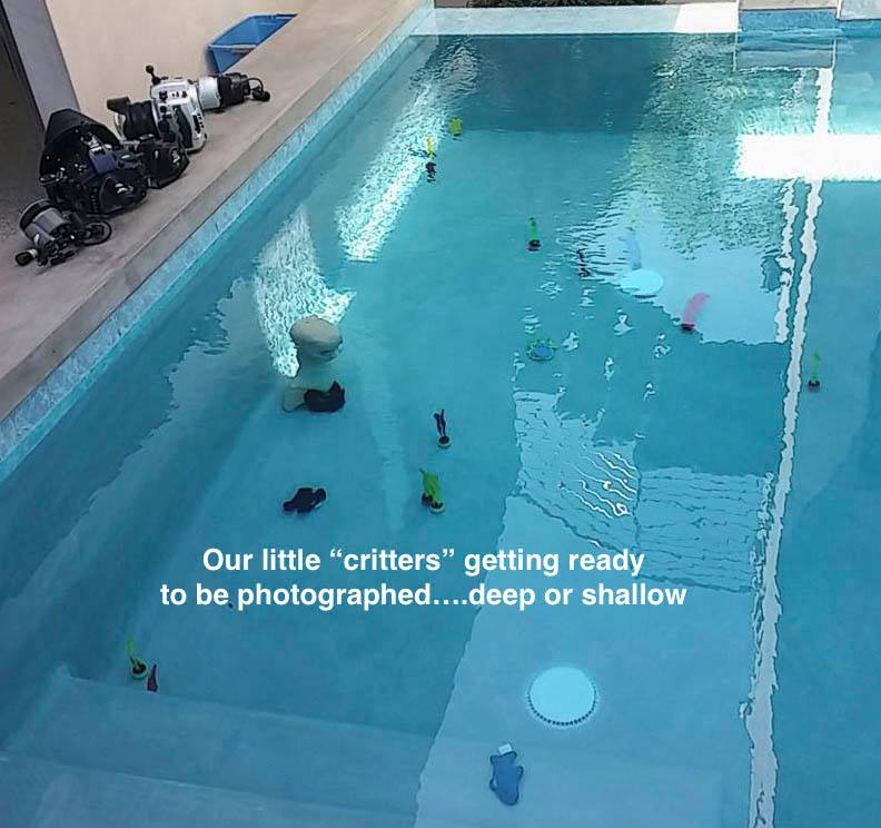 underwater photo classes pool