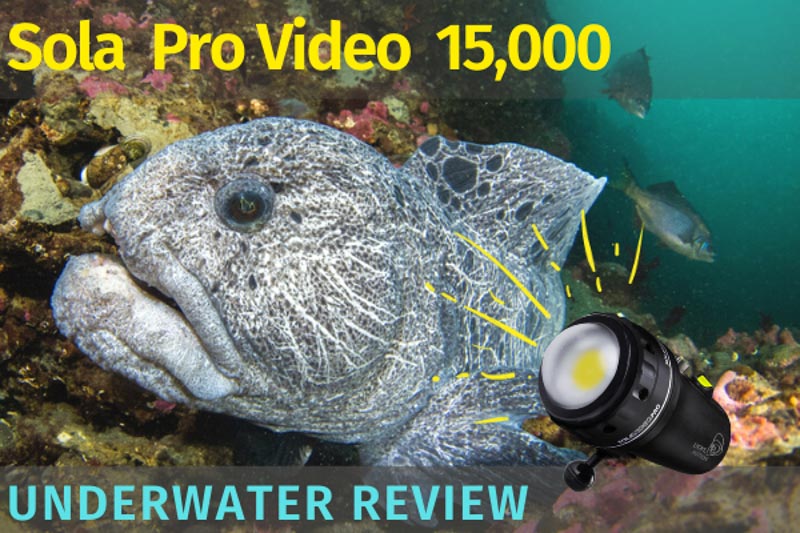 Sola 15,000 Video Pro Review