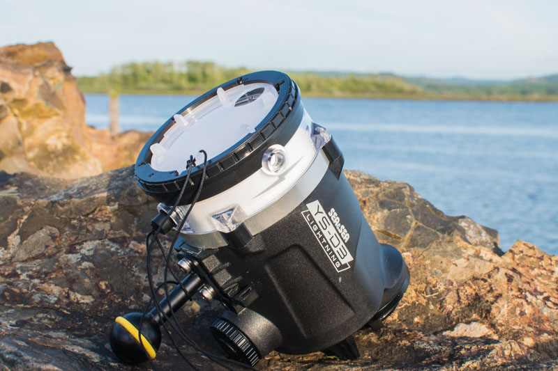 Sea & Sea YS-D3 Strobe Review - Underwater Photography Guide