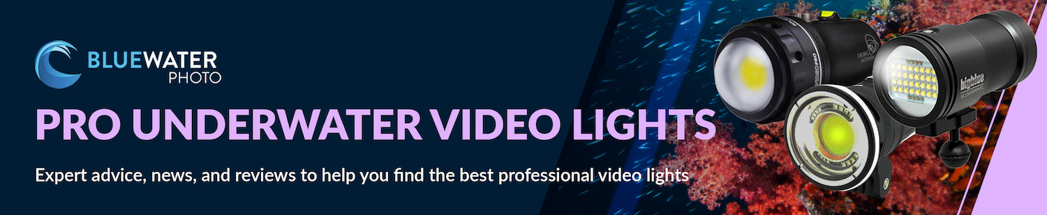 Professional underwater video lights 