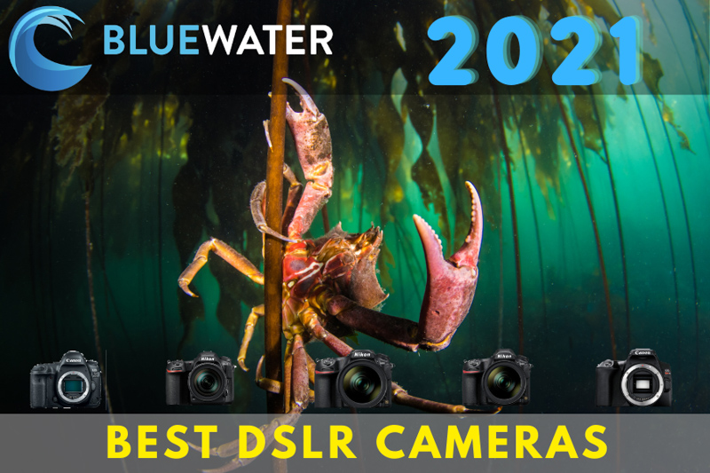 best underwater dslr cameras