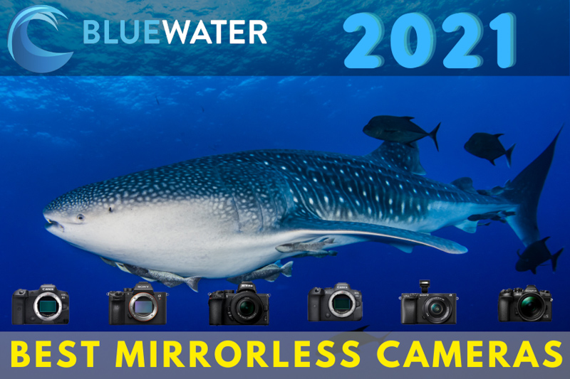 best underwater mirrorless camera