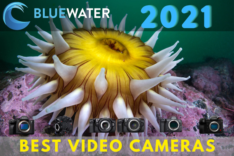 best underwater video camera