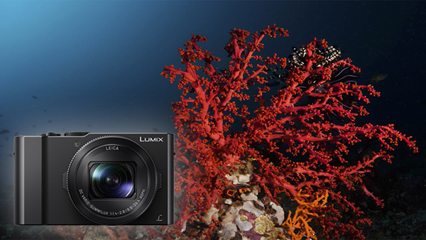 Camera Review for Panasonic LX10 Camera Review