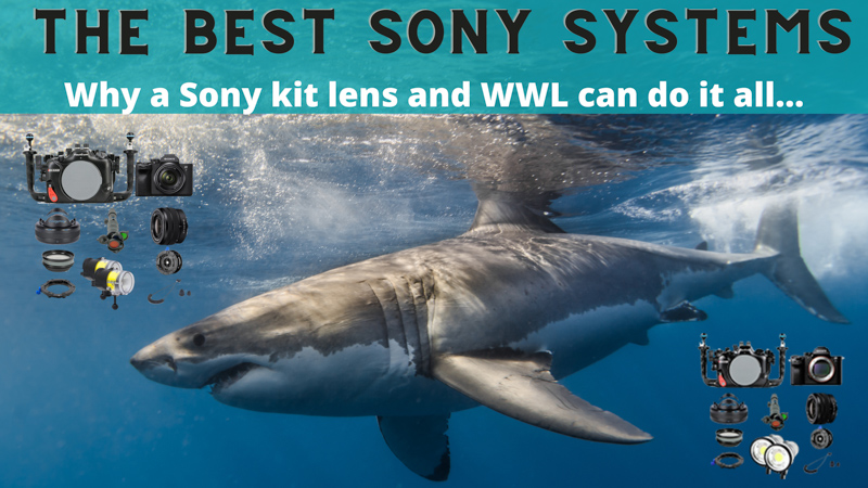 Sony underwater camera systems