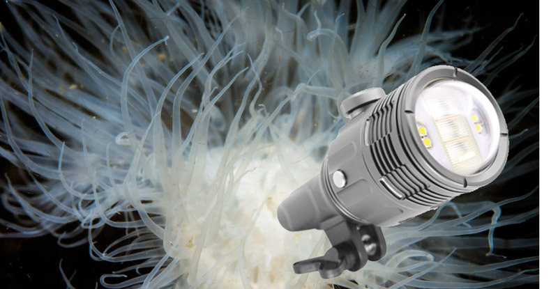 Symbiosis SS3 Strobe and Video Light Review