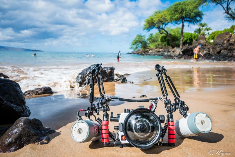 Nikon Z50 underwater review