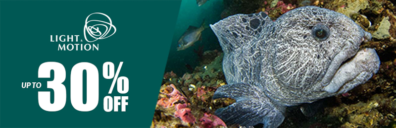 light and motion sale