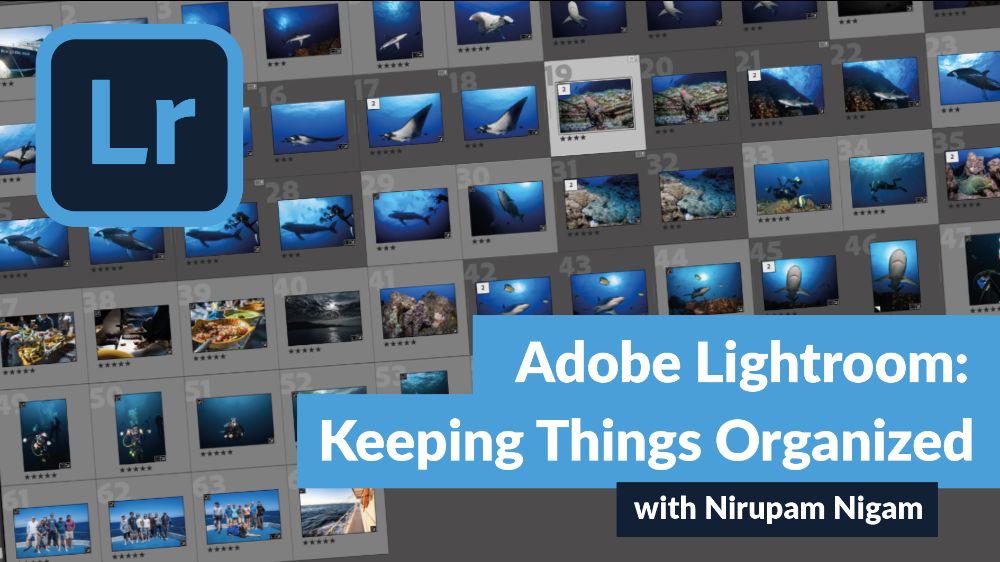 Adobe Lightroom: Keeping Things Organized