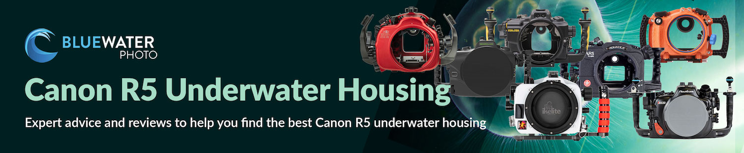 Buyers Guide for Canon R5 Underwater Housing