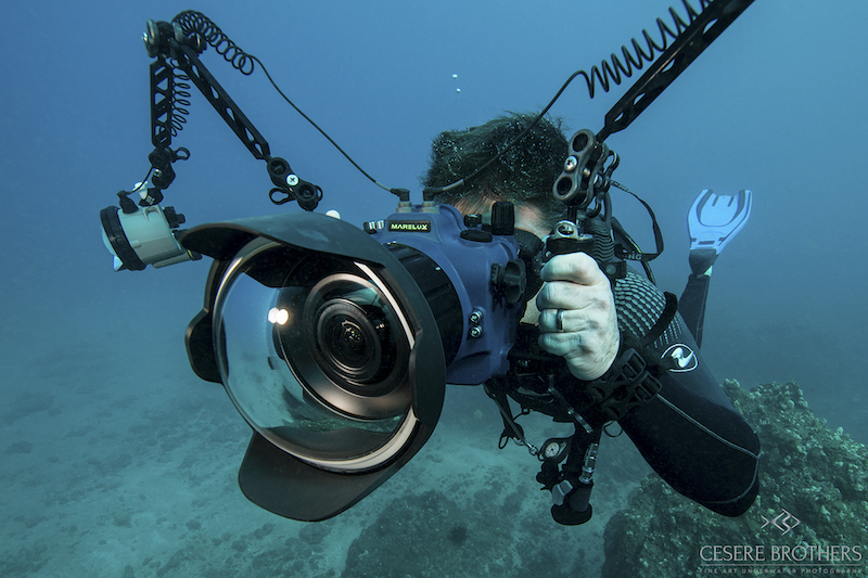 Marelux Canon R5 Underwater Housing Sample Image