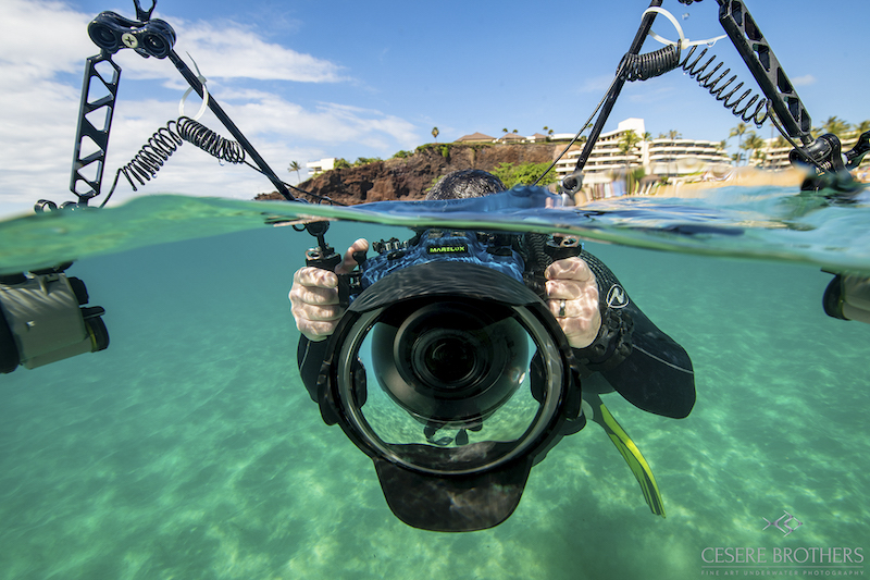 Marelux Canon R5 Underwater Housing Sample Image