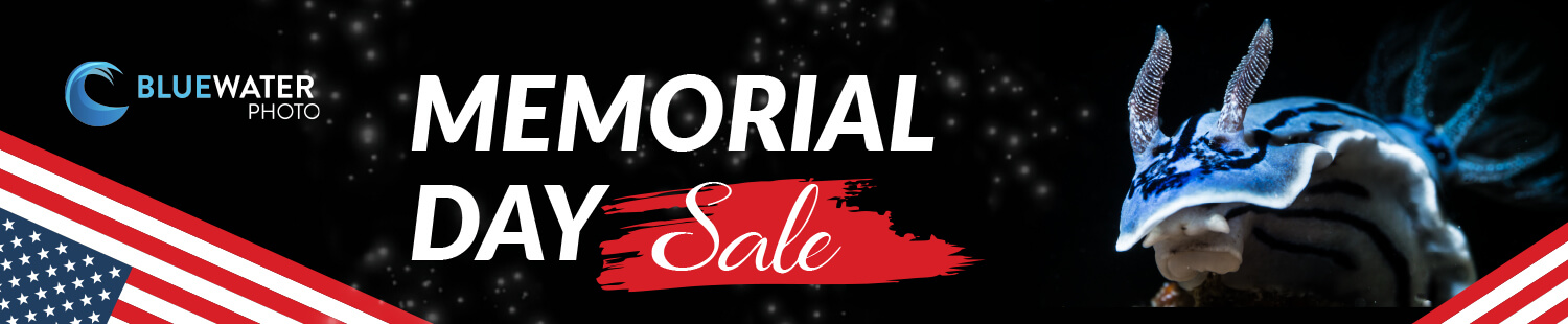 Memorial Day Sale