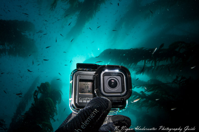 GoPro Hero 8 Underwater Video - Bluewater Photo