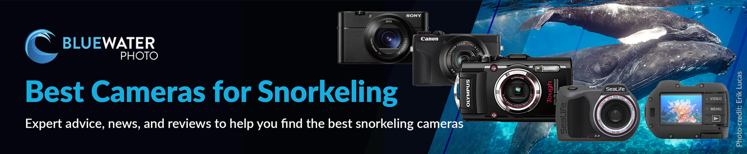 Best Camera for Snorkeling 