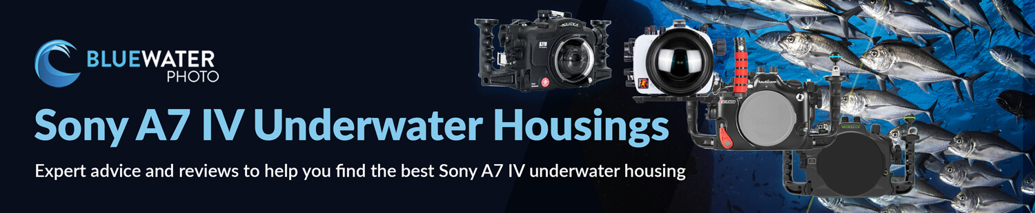 Buyers Guide for Sony A7 IV Underwater Housing
