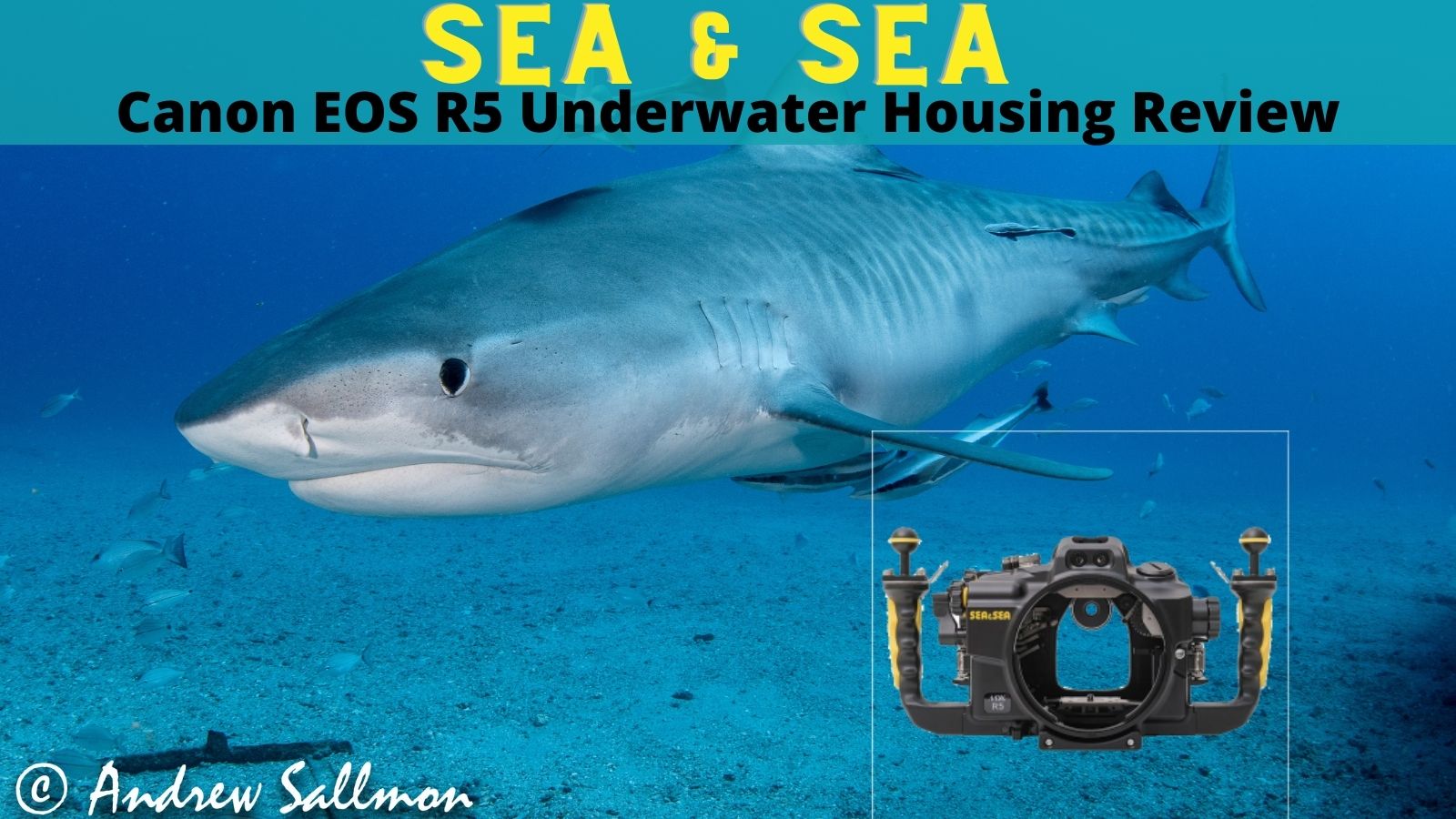 Sea & Sea Canon R5 Underwater Housing Review
