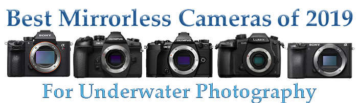 Top 2019 Mirrorless Camera for Underwater Photography and Videography