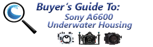 Buyers Guide for Sony a6600 Underwater Housing