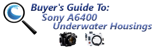 Buyers Guide for Sony a6400 Underwater Housing