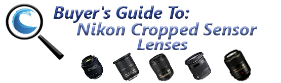 Best Lenses with Nikon Cropped Sensor Cameras for Underwater