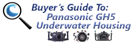 Panasonic GH5 Underwater Housing Guide
