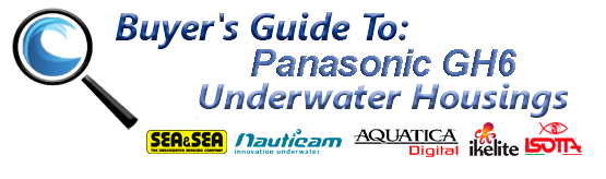Panasonic GH6 Underwater Housing Guide