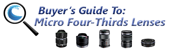 Best Micro Four-Thirds Lenses for Underwater Photography and Videography