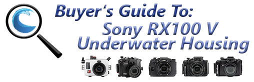 Sony RX100 V/VA Underwater Housing Guide