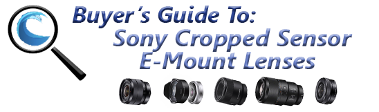 Best Sony E-Mount Lenses for Underwater
