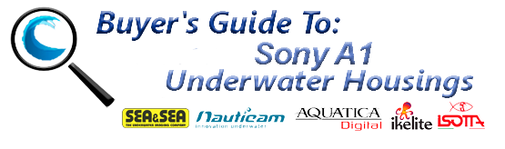Buyers Guide for Sony A1 Underwater Housing