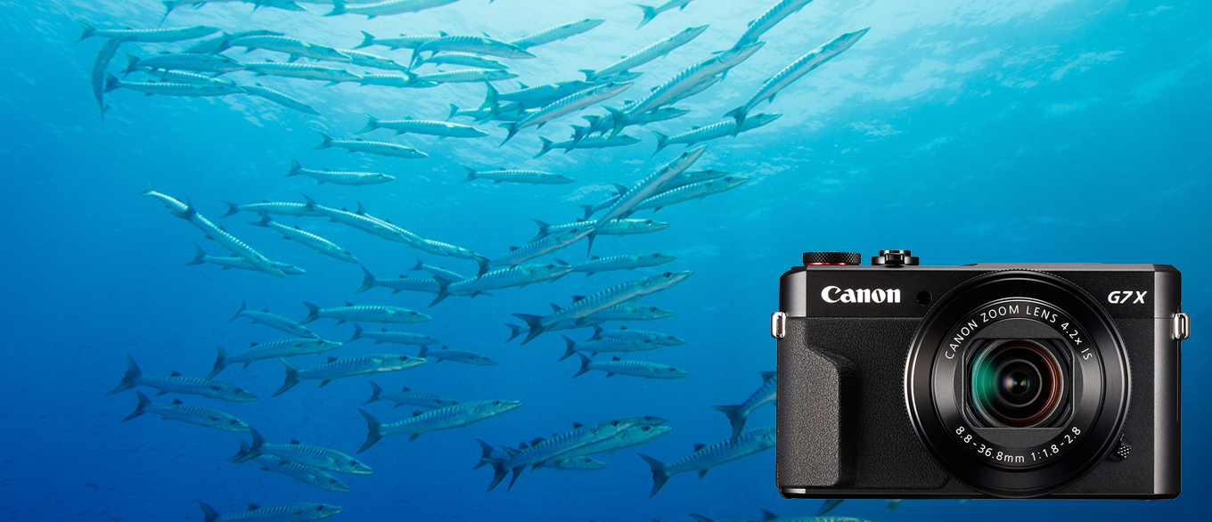 Canon G7X Mark III Underwater Review - Bluewater Photo