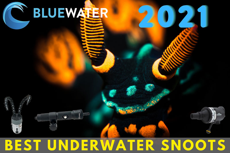 underwater snoots