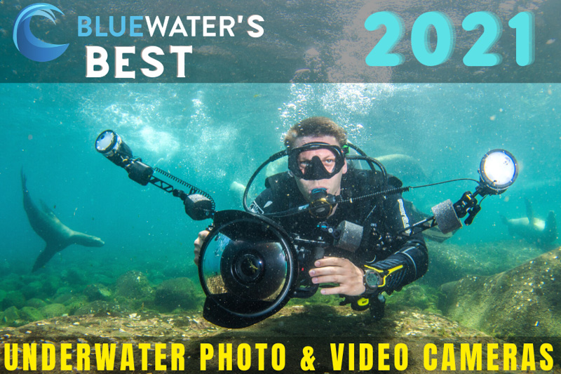 Best Underwater Photo & Video Cameras of 2021