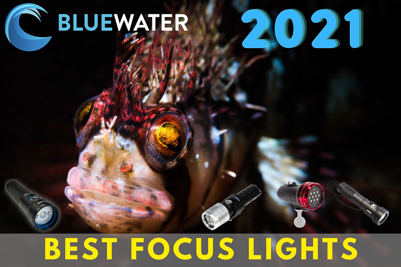 Focus Lights for underwater photography - Buyer's Guide