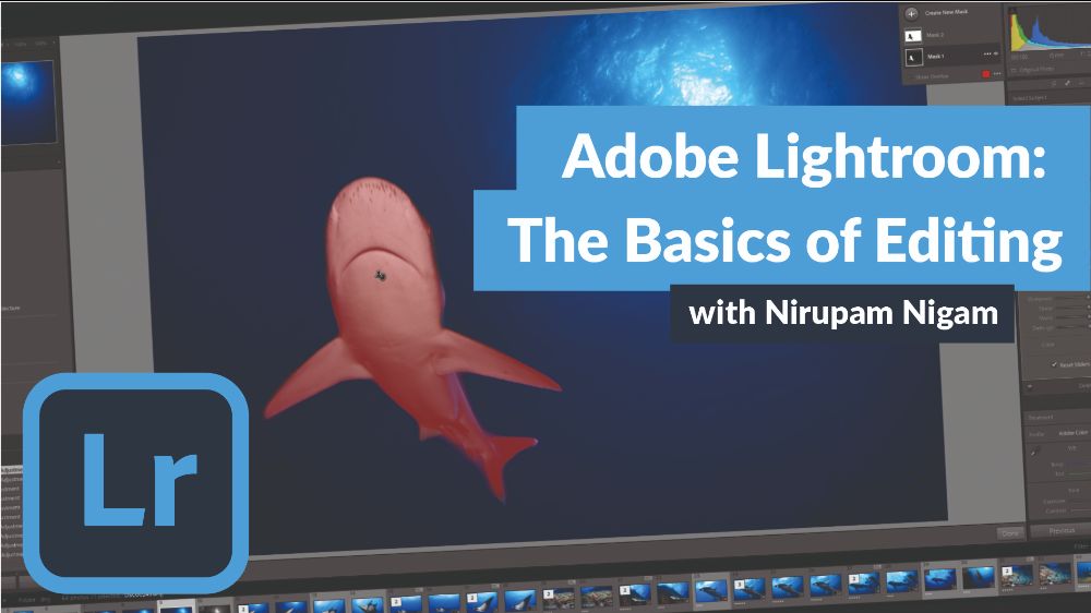 Adobe Lightroom: The Basics of Editing Underwater Photos