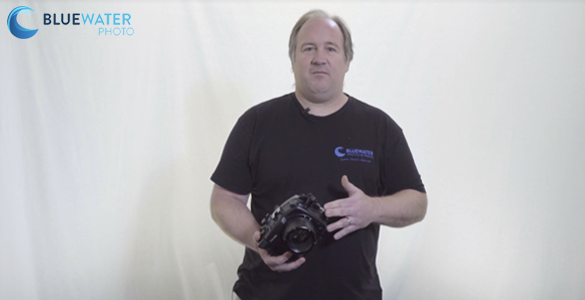 Fantasea Sony A6400 Video Review