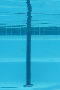 IMG_0008-fant-bigeye-pole