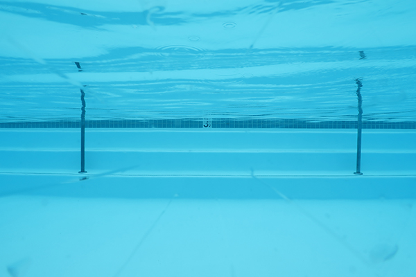 IMG_0008-fant-bigeye