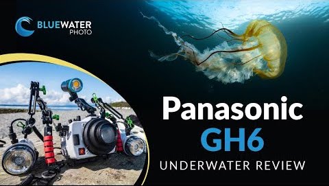 Panasonic Lumix GH5 Underwater in 4K [VIDEO]