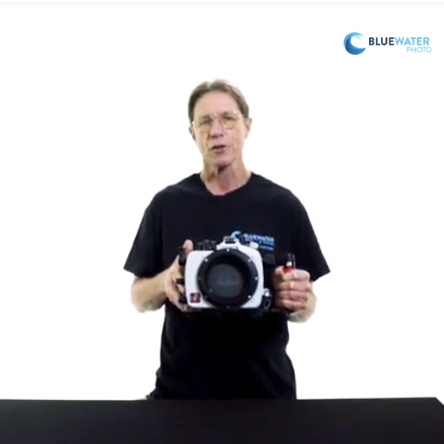 Ikelite Sony A7R III, A7III, A9 Housing Review