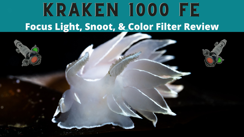 Kraken 1000 FE Focus Light Review - With Snoot & Color Filters