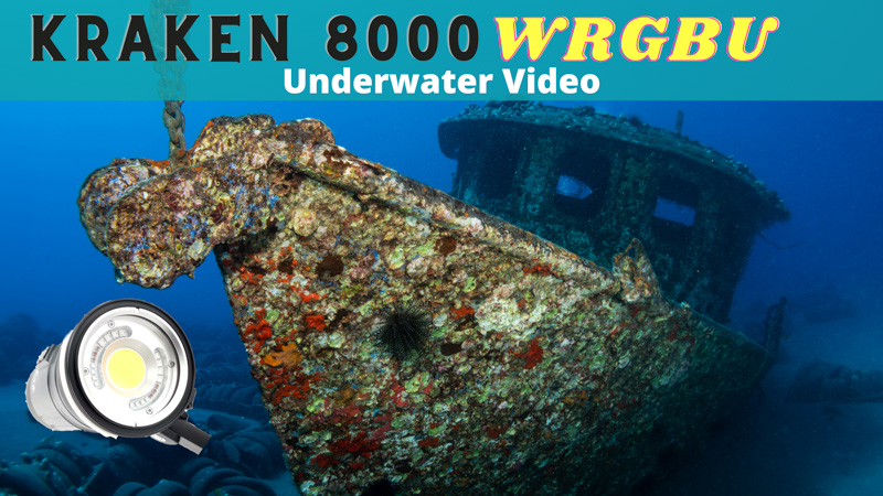 Underwater Video with the Kraken Hydra 8000 WRGBU (with Dome)