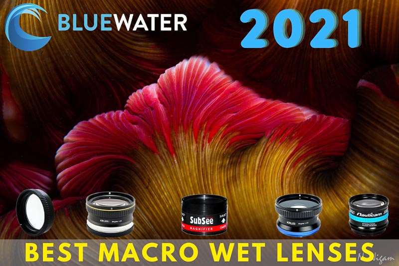 Macro wet lens buyer's guide - wet diopters