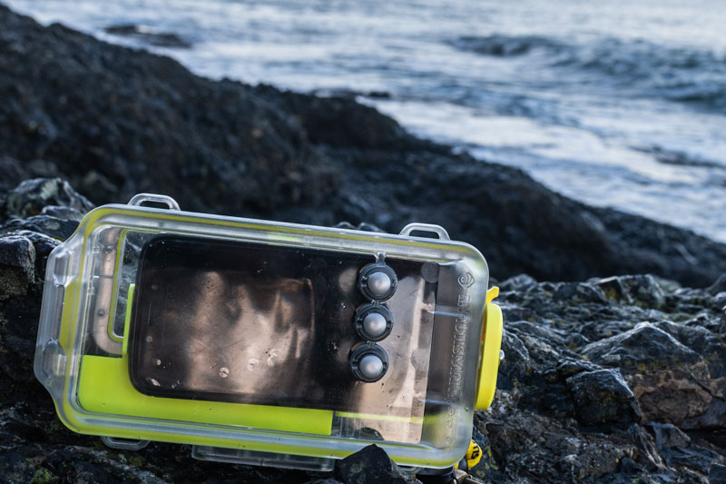 Nautismart back view