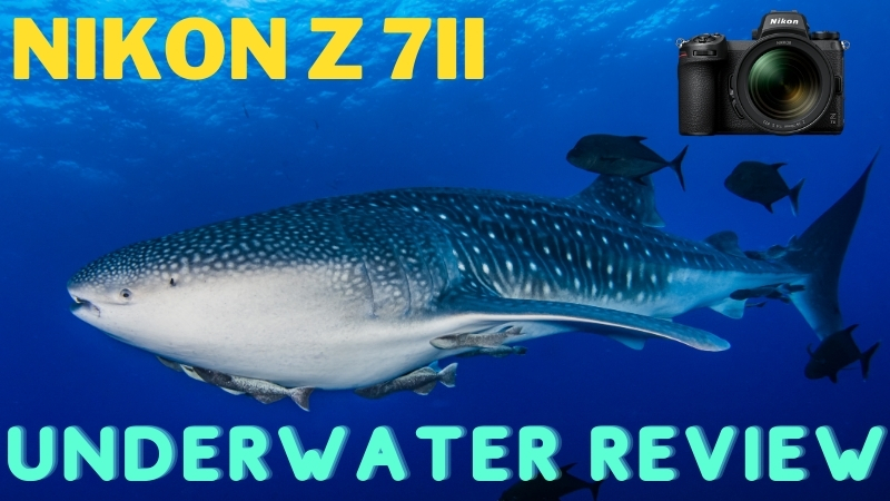 Nikon Z7II Underwater Review