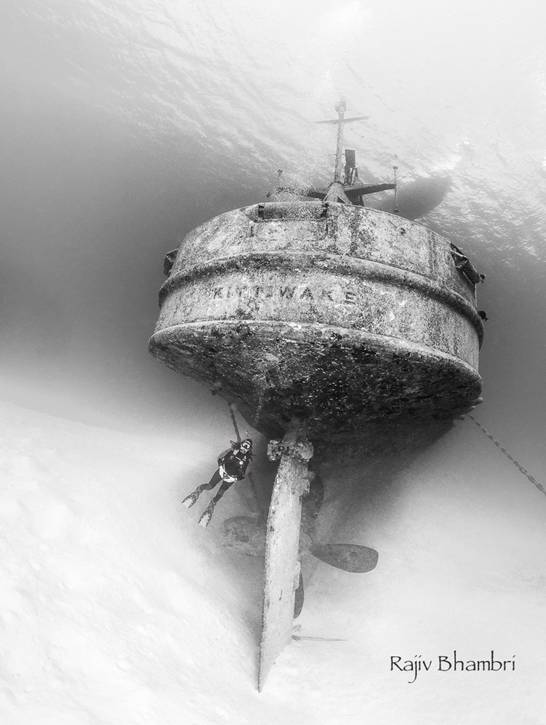 panasonic 8mm fisheye underwater photos