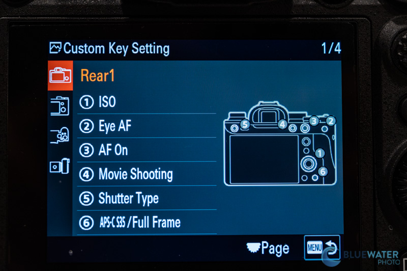 Sony A1 settings custom