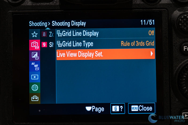 Sony A1 Shooting Display Menu